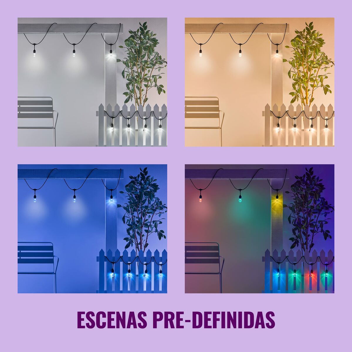 LED žarnice Wiz Pisana 8 W